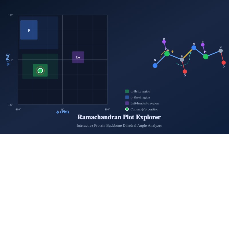 Free Ramachandran Plot Explorer: Interactive Protein Backbone Dihedral ...